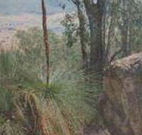 Mount Lawson State Park - C Tourism