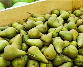 Dandenong Market - C Tourism 1