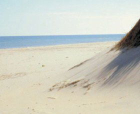 Lilley's Beach - C Tourism 2