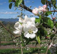 Mouat's Farm - C Tourism