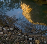 Abercrombie Karst Conservation Reserve - C Tourism