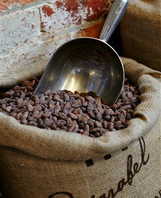 Bright Chocolate - C Tourism 5