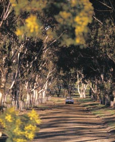Albert Facey Heritage Trail - C Tourism 0