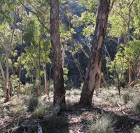 Mount Gray walking track - C Tourism