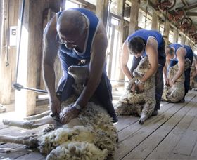 The Woolshed At Jondaryan - C Tourism 1