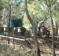7 Oaks Sapphire Fossicking - C Tourism