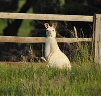Panorama Garden Estate - C Tourism