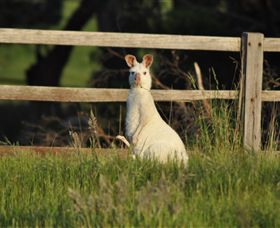 Panorama Garden Estate - C Tourism 0