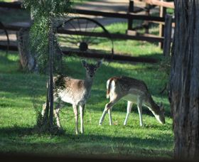 Panorama Garden Estate - C Tourism 7