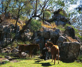 Coomba Falls - C Tourism 0