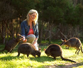 Pearcedale VIC C Tourism