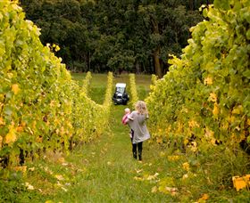 Polperro Winery - C Tourism 7