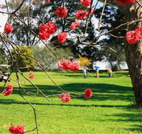 The Yass Golf Club - C Tourism