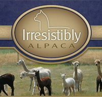 Marchmont Park Alpacas - C Tourism