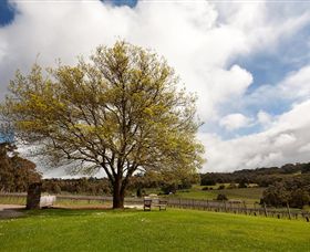 Tuck's Ridge - C Tourism 2