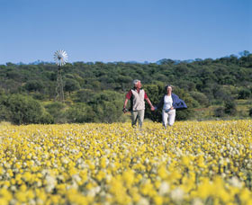 Koolanooka Springs - C Tourism 0