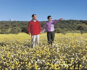 Koolanooka Springs - C Tourism 1