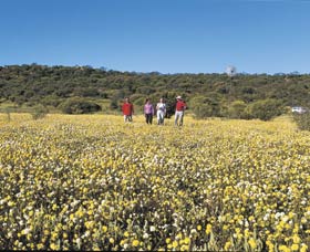Koolanooka Springs - C Tourism 2