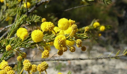 Torrington State Conservation Area - C Tourism 3