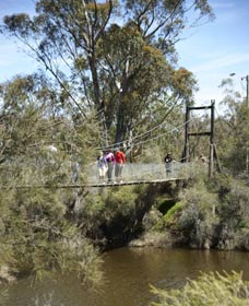 Avon Park - C Tourism 0