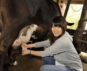 Warrook Farm - C Tourism 2