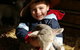 Warrook Farm - thumb 1