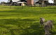 Warrook Farm - thumb 4