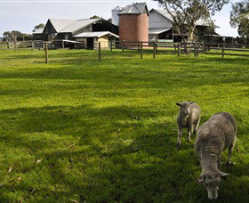 Warrook Farm - C Tourism 4