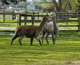 Warrook Farm - C Tourism 6