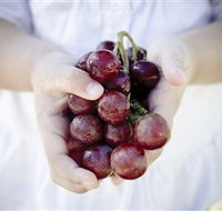 Granitevale  Estate Winery - C Tourism