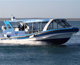 Phillip Island Nature Parks - C Tourism 2