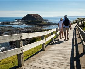Phillip Island Nature Parks - C Tourism 3