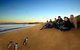 Phillip Island Nature Parks - thumb 7