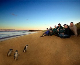 Phillip Island Nature Parks - C Tourism 7