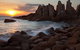 Phillip Island Nature Parks - thumb 6