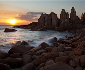 Phillip Island Nature Parks - C Tourism 6