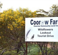 Coorow Farm Wildflower Trail - C Tourism