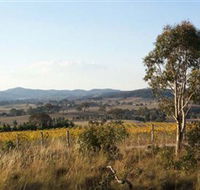 Yarrh Wines - C Tourism