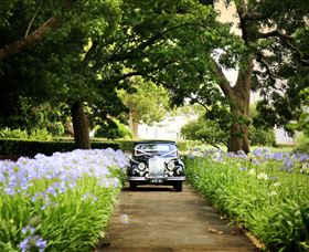 Queens Park, Toowoomba - C Tourism 3