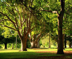 Queens Park, Toowoomba - C Tourism 1