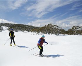 Mt Baw Baw Alpine Resort - C Tourism 2