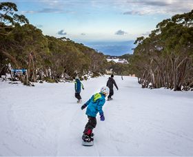 Mt Baw Baw Alpine Resort - C Tourism 0