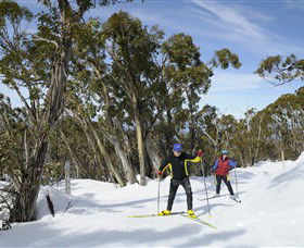 Mt Baw Baw Alpine Resort - C Tourism 4