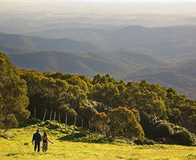Mt Baw Baw Alpine Resort - C Tourism 6