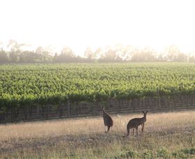 Small Forest Wine - C Tourism 0