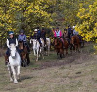 Burnelee Excursions on Horseback - C Tourism