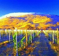 Surveyors Hill Winery - C Tourism