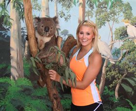 Maru Koala And Animal Park - C Tourism 0
