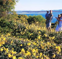 Joseph Banks Conservation Park - C Tourism