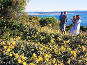 Joseph Banks Conservation Park - C Tourism 0